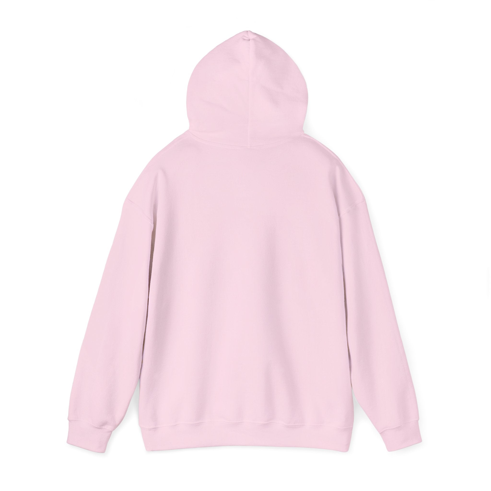 Signature 252Squad racing Hooded Sweatshirt